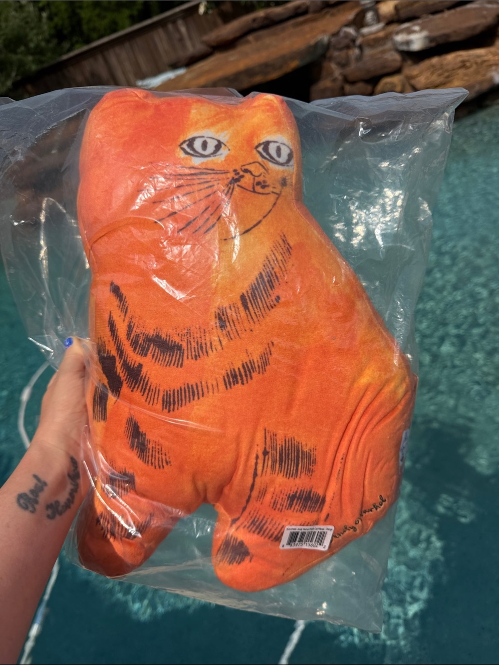 Andy Warhol x KidRobot Orange Cat Decorative Throw Pillow NWT Kitten